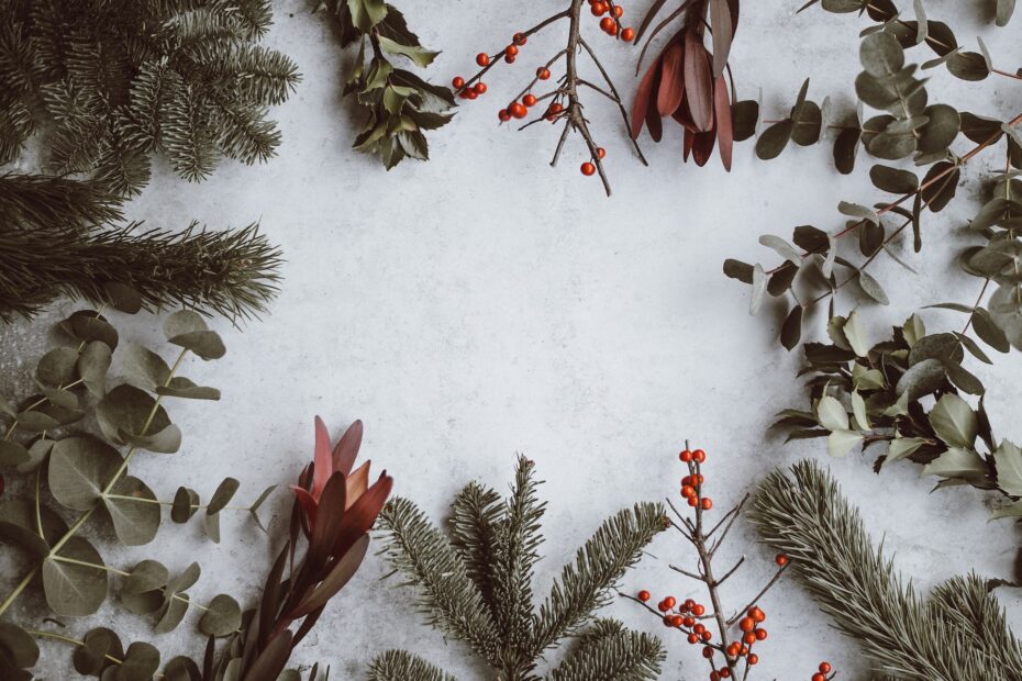 Assorted Types of Leaves Lying on White Panel